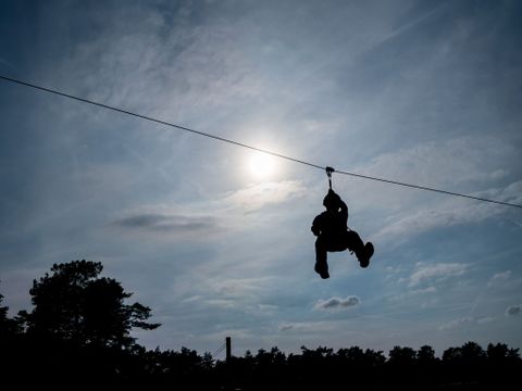 Landal Natuurdorp Suyderoogh - Camping Het Hogeland - Image N°29