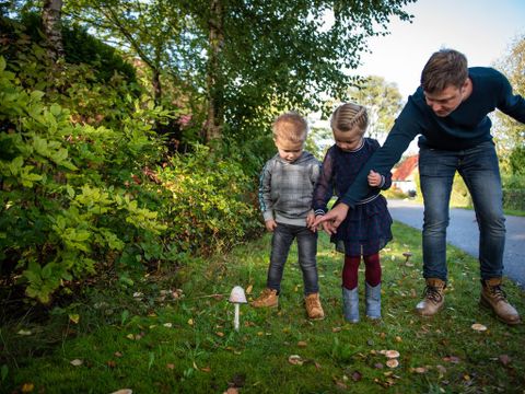 Landal Natuurdorp Suyderoogh - Camping Het Hogeland - Image N°5