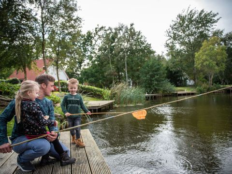 Landal Natuurdorp Suyderoogh - Camping Het Hogeland - Image N°4