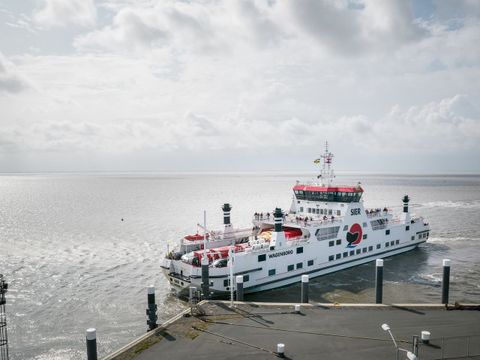 Landal Ameland State - Camping Ameland - Image N°4