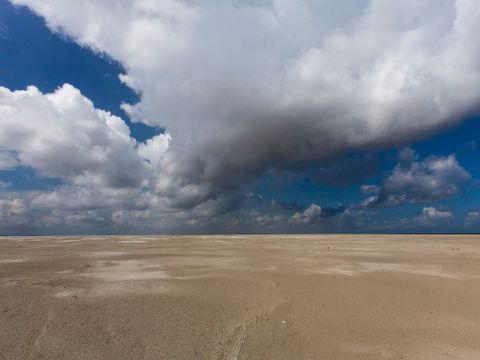 Landal Ameland State - Camping Ameland - Image N°24