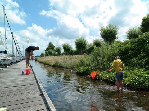 Villapark De Paardekreek - Camping Beveland-Nord - Image N°29