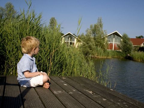 Villapark De Paardekreek - Camping Beveland-Nord - Image N°16