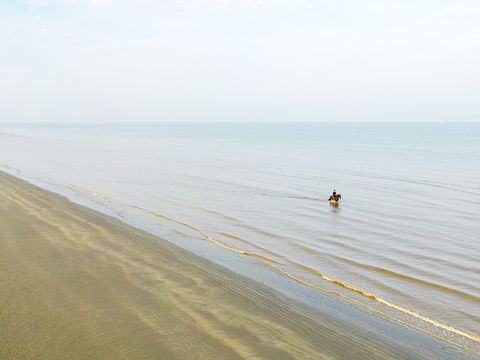 Sunparks Oostduinkerke aan Zee - Camping Flandre Occidentale - Image N°24