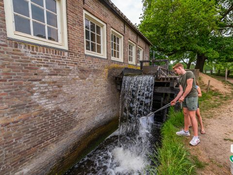 EuroParcs De Hooge Veluwe - Camping Arnhem - Image N°53