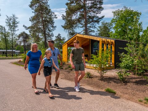 EuroParcs De Hooge Veluwe - Camping Arnhem - Image N°3