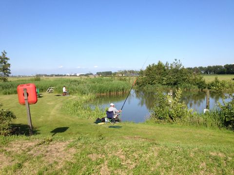 Vakantiepark Koningshof - Camping Katwijk - Image N°37