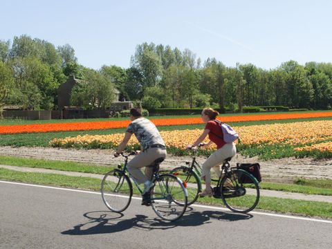 Vakantiepark Koningshof - Camping Katwijk - Image N°15