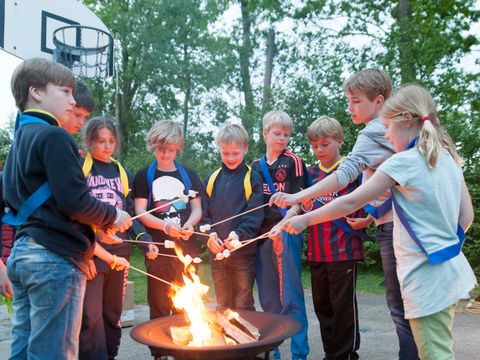 Vakantiepark Koningshof - Camping Katwijk - Image N°25