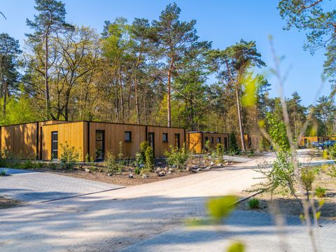 EuroParcs Beekbergen - Camping Apeldoorn - Image N°41