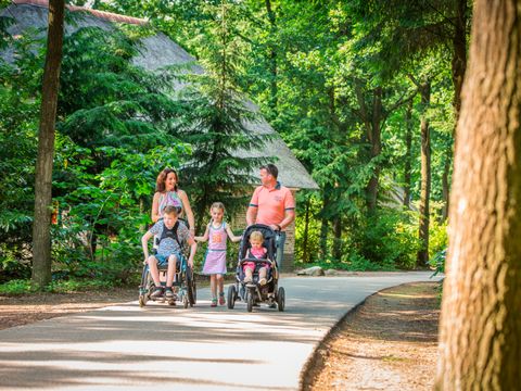 Landal Het Land van Bartje - Camping Borger-Odoorn - Image N°17