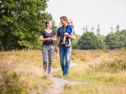 Landal Het Land van Bartje - Camping Borger-Odoorn - Image N°35