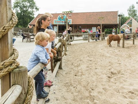 Landal Het Land van Bartje - Camping Borger-Odoorn - Image N°29