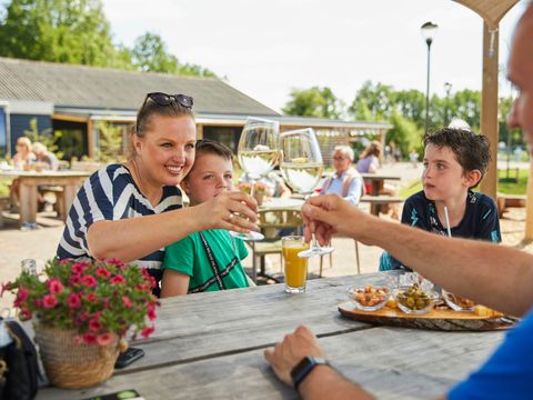 Landal Het Land van Bartje - Camping Borger-Odoorn - Image N°3