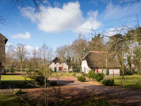 Landal Het Land van Bartje - Camping Borger-Odoorn - Image N°16