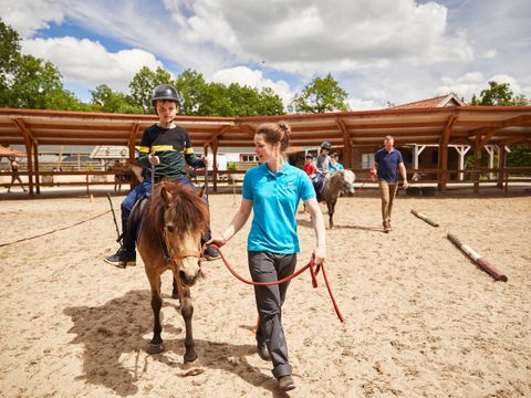 Landal Het Land van Bartje - Camping Borger-Odoorn - Image N°6