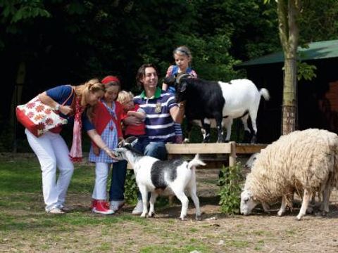 Landal Kasteeldomein De Cauberg - Camping Valkenburg an der Geul - Image N°23