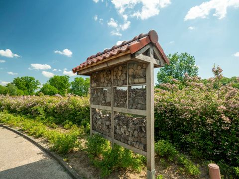 Landal Kasteeldomein De Cauberg - Camping Valkenburg aan de Geul - Image N°16