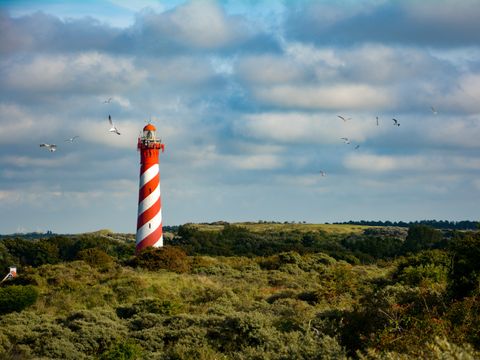 Landal Esonstad - Camping Noardeast-fryslân - Image N°36