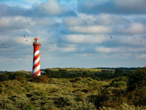 Landal Esonstad - Camping Noardeast-Fryslân - Image N°32