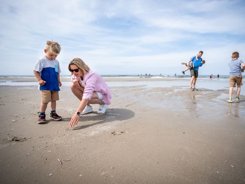 Landal Esonstad - Camping Noardeast-fryslân - Image N°25