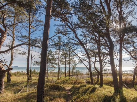 Novasol Prora Solitaire - Rügen - Camping Mecklembourg-poméranie Occidentale - Image N°26