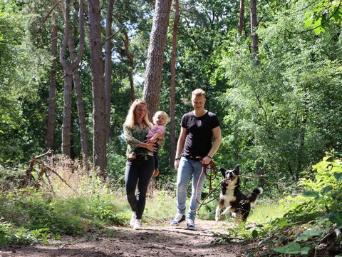 Camping Ommerland - Camping Ommen - Image N°21