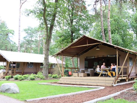 Camping Ommerland - Camping Ommen - Image N°10