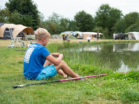 Vakantiepark Witterzomer - Camping Assen - Image N°11