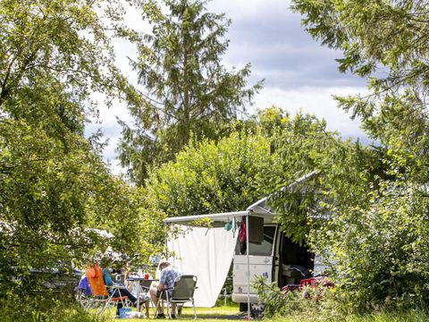 Vakantiepark Witterzomer - Camping Assen - Image N°71