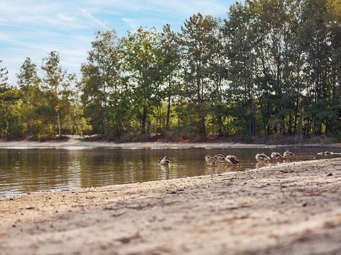 Center Parcs De Kempervennen - Camping Bergeijk - Image N°67