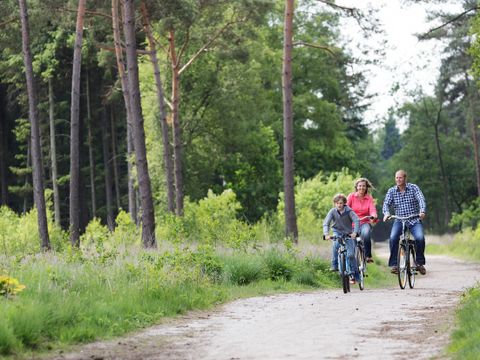 Center Parcs De Kempervennen - Camping Bergeijk - Image N°28