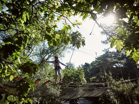 Center Parcs De Kempervennen - Camping Bergeijk - Image N°70