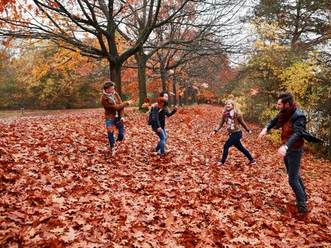 Center Parcs De Kempervennen - Camping Bergeijk - Image N°94