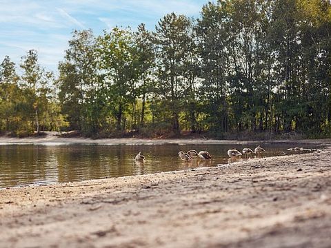 Center Parcs De Kempervennen - Camping Bergeijk - Image N°66