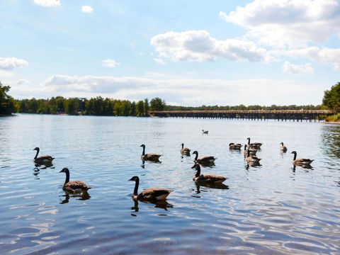 Center Parcs De Vossemeren - Camping Limbourg - Image N°12