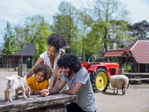 Center Parcs Park Erperheide - Camping Limbourg - Image N°46