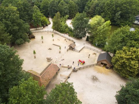 Center Parcs Park Erperheide - Camping Limbourg - Image N°60