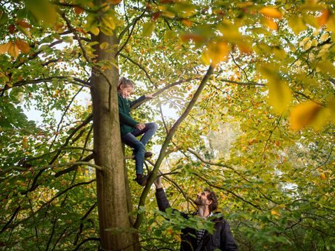 Center Parcs Park Erperheide - Camping Limbourg - Image N°53