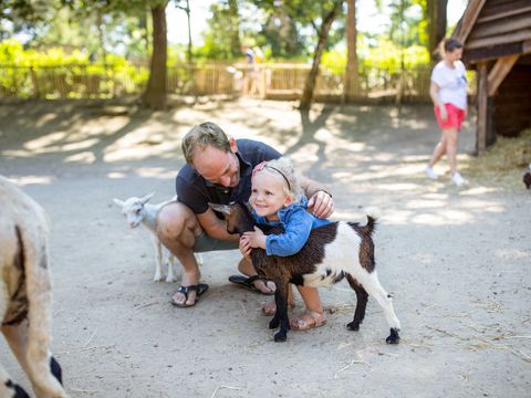 Center Parcs Park Erperheide - Camping Limbourg - Image N°56