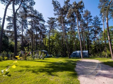 Buitencentrum Hessenheem - Camping Hof Van Twente - Image N°23