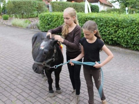 Feriendorf Naturpur - Camping Rhénanie du Nord-westphalie - Image N°13