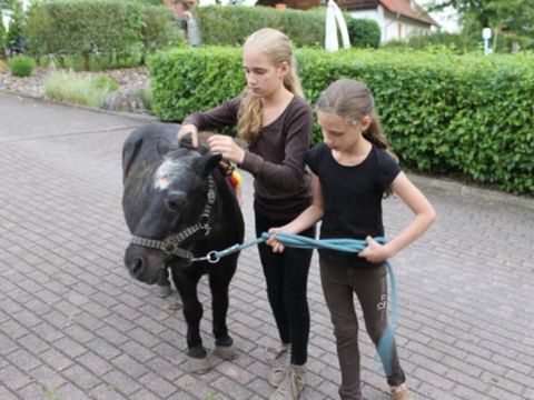 Feriendorf Naturpur - Camping Rhénanie du Nord-Westphalie - Image N°8