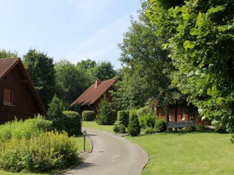 Feriendorf Naturpur - Camping Rhénanie du Nord-Westphalie - Image N°20