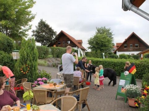 Feriendorf Naturpur - Camping Rhénanie du Nord-Westphalie - Image N°8