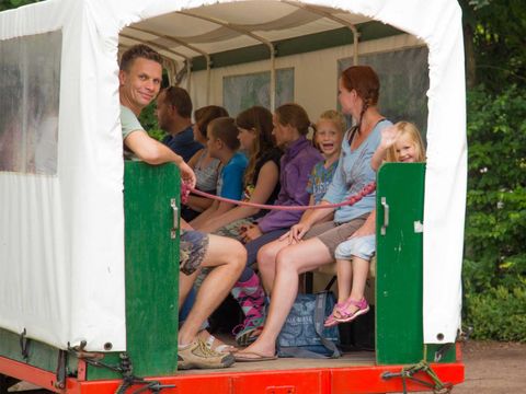 Molecaten Park Het Landschap - Camping Westerveld - Image N°3