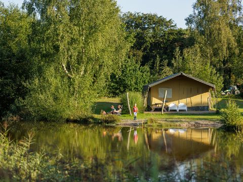 Camping Vreehorst - Camping Winterswijk - Image N°10