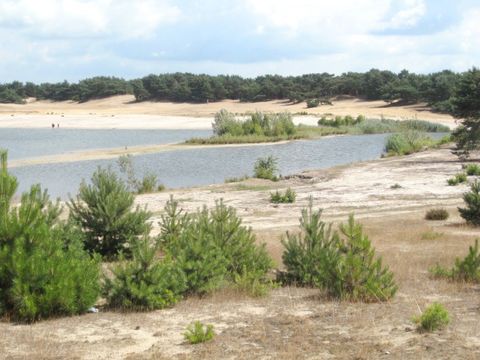 Oostappen park Parelstrand - Camping Limburg Belge - Image N°25