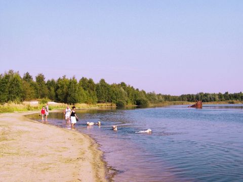 Oostappen park Blauwe Meer - Camping Limbourg - Image N°12