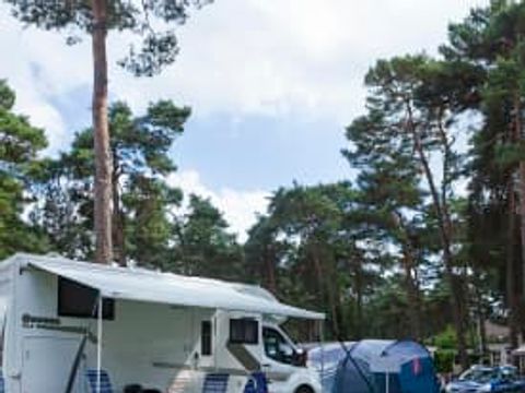 Oostappen park Blauwe Meer - Camping Limbourg - Image N°65